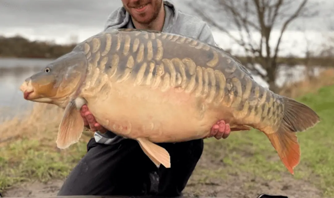 How to hold a carp correctly (and for the best photo!)