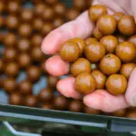 best boilies for winter