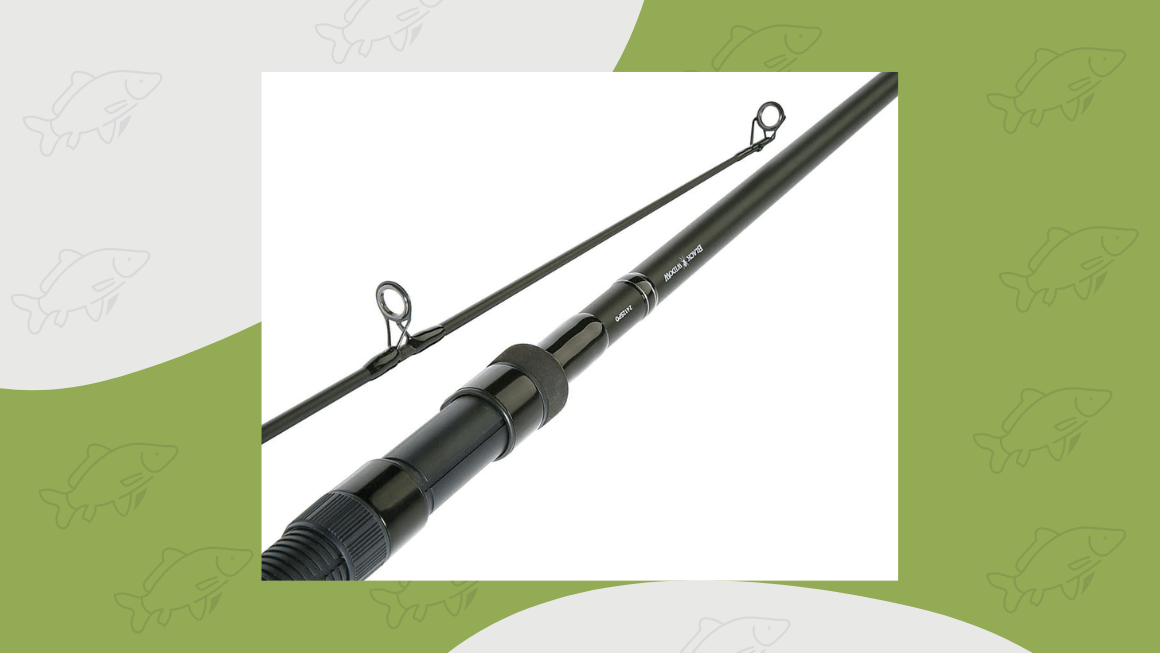 8 Best Budget Carp Rods (They Should Cost More!) - Carp Squad