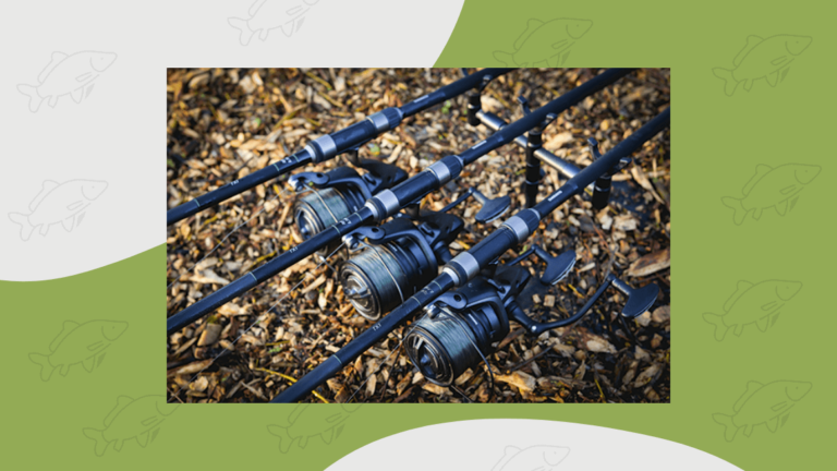 8 Best Budget Carp Rods (They Should Cost More!) - Carp Squad