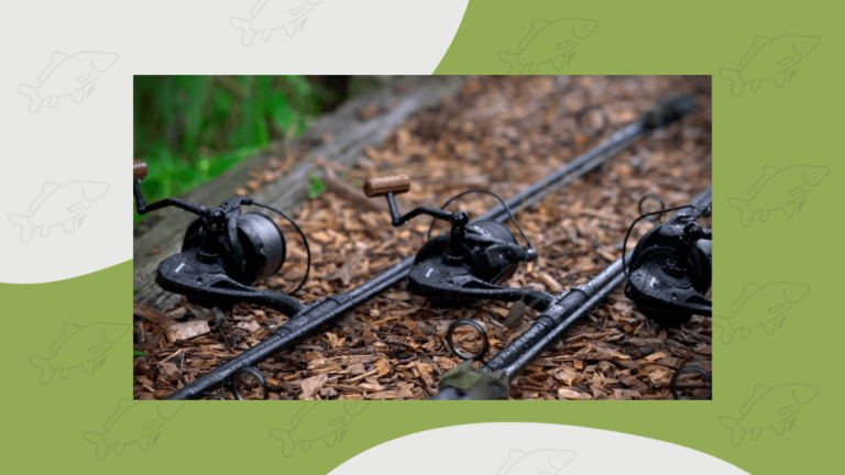 8 Best Budget Carp Rods (They Should Cost More!) - Carp Squad