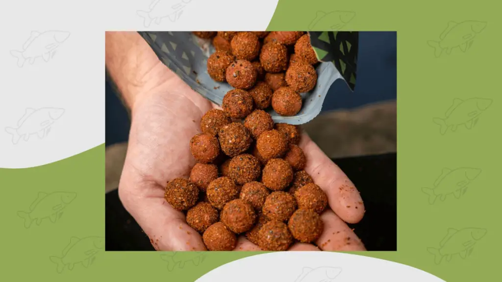 og fishmeal boilies