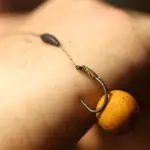 simple carp rigs for beginners