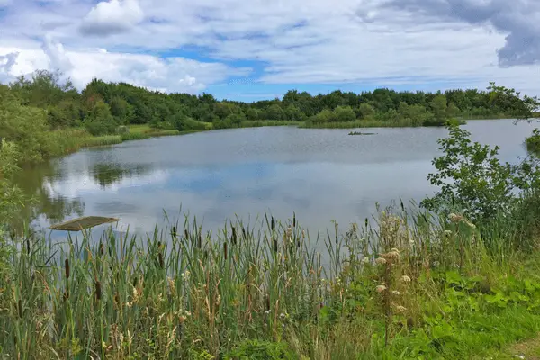 county durham carp lakes