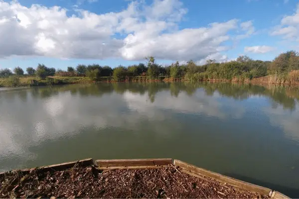 carp lakes in merseyside