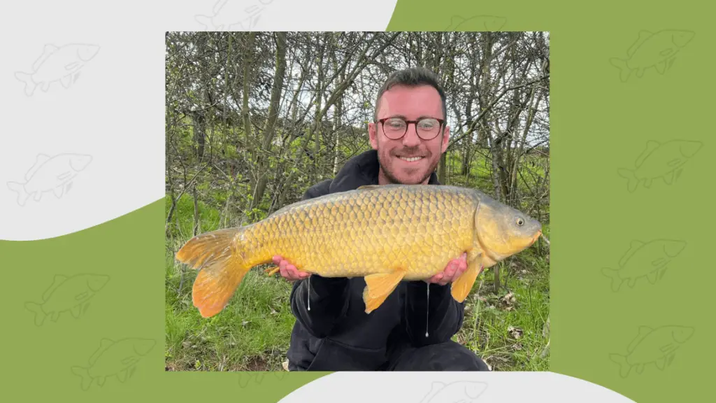 common carp type