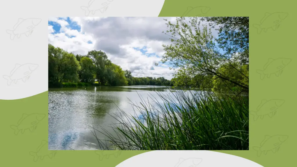 bluebell lakes