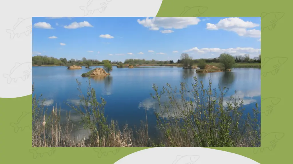 holme fen 50lb carp