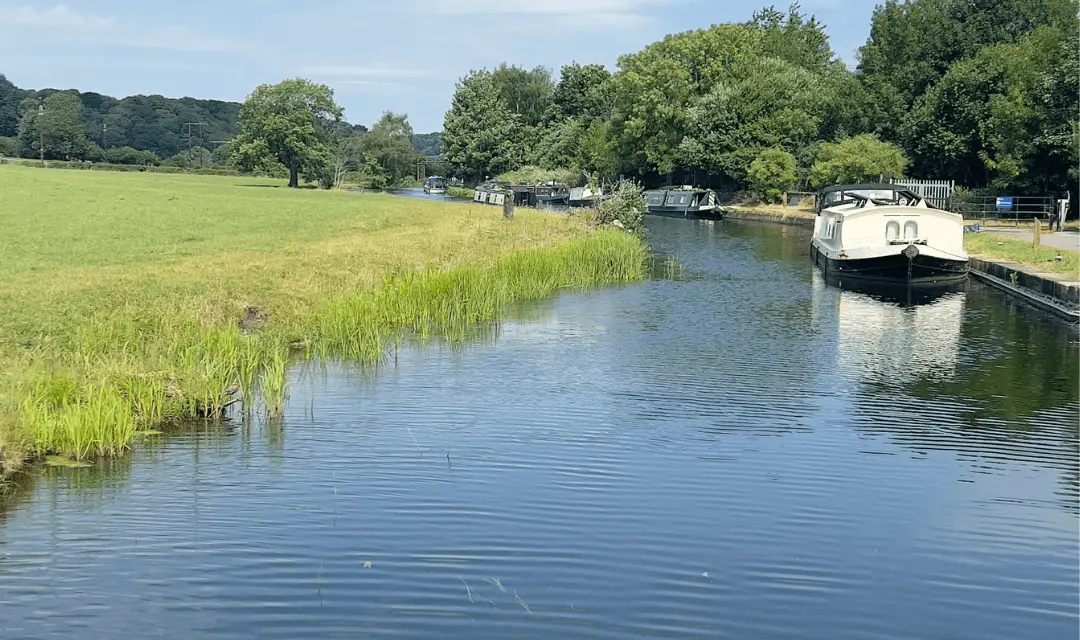Canal Carp Fishing Tips & Tactics